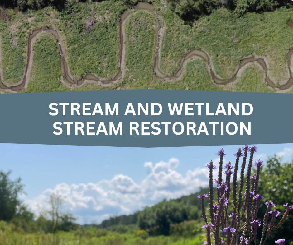 Stream and Wetland Restoration